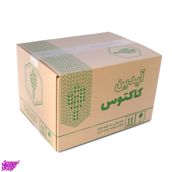 گیاه طبیعی کاکتوس و ساکولنت آیدین کاکتوس کد CB-009 بسته 12 عددی