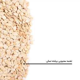 مغز تخمه محبوبی برشته نمکی بارجیل