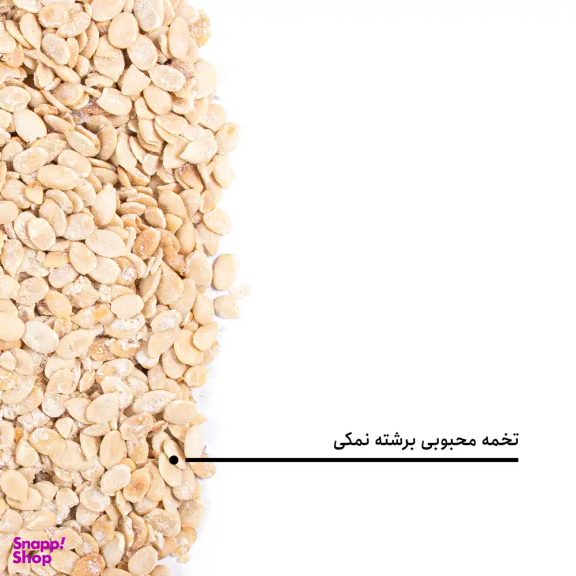 مغز تخمه محبوبی برشته نمکی بارجیل