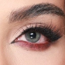 لنز رنگی سالیانه هرا شماره 09 کد RYA310 رنگ سبز طوسی دور مشکی