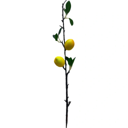 شاخه گل لیمو مصنوعی کد lemon-2x