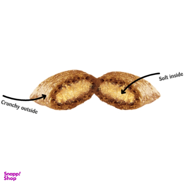 غذای تشویقی گربه دریمز مدل Snack With Salmon وزن 60 گرم