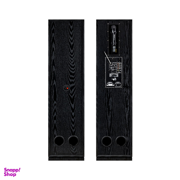 پخش کننده خانگی دنای مدل DE-3010NW3