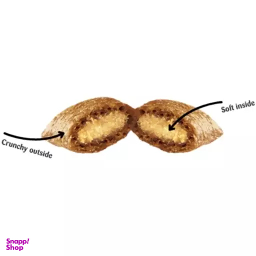غذا تشویقی گربه دریمیز مدل Snack With Duck وزن 60 گرم