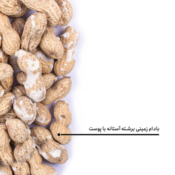 بادام زمینی برشته آستانه با پوست بارجیل
