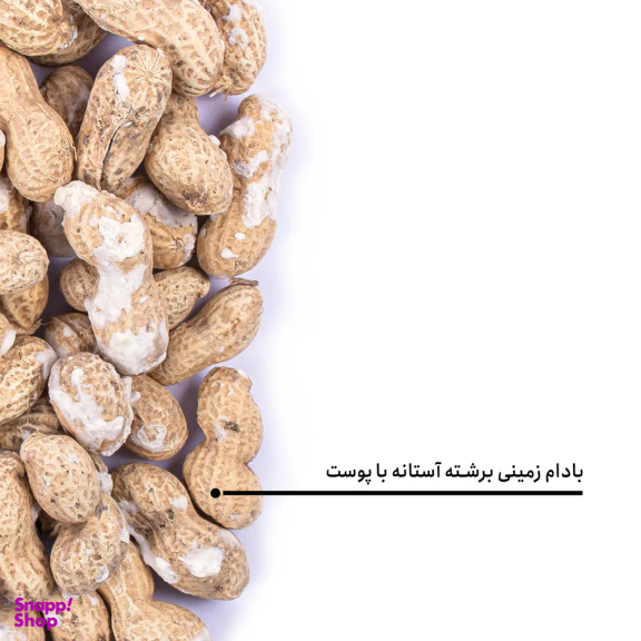 بادام زمینی برشته آستانه با پوست بارجیل