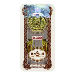سکه گرمی پارسیان الن نار مدل EL300.1