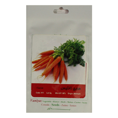 بذر هویج نانتیس آذر سبزینه مدل A34