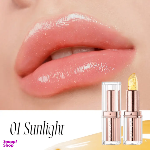 بالم لب حرارتی و آبرسان او تو او شماره 01
