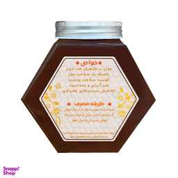عسل گشنیز طبیب وزن ۱ کیلوگرم