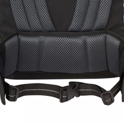 کوله پشتی دلسی مدل مدرسه ارگونومیک کد 339162513