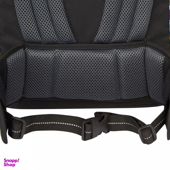 کوله پشتی دلسی مدل مدرسه ارگونومیک کد 339162513