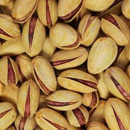 پسته اکبری شور زعفرانی ناتژی