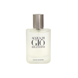 ادوپرفیوم جیبی مردانه برندینی مدل Acqua Di Gio حجم 33 میلی لیتر