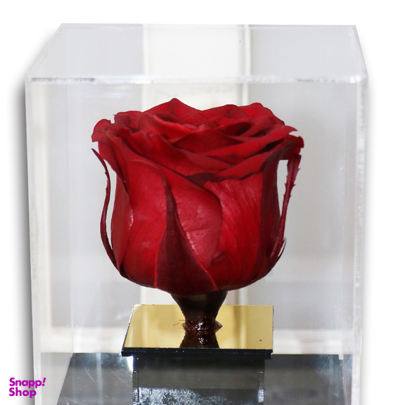 تندیس تمام پلکسی گل رز جاودان قرمز مدل LED دار