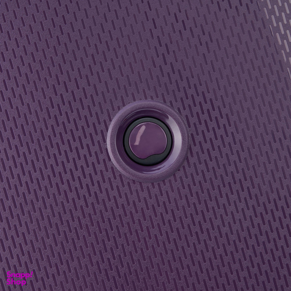 چمدان دلسی مدل BELMONT PLUS کد 3861985 مجموعه سه عددی