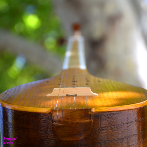 سه تار یران ساز مدل یک مهر