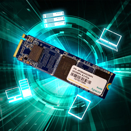 اس اس دی اینترنال اپیسر مدل AS2280 P4 M.2 ظرفیت 512 گیگابایت