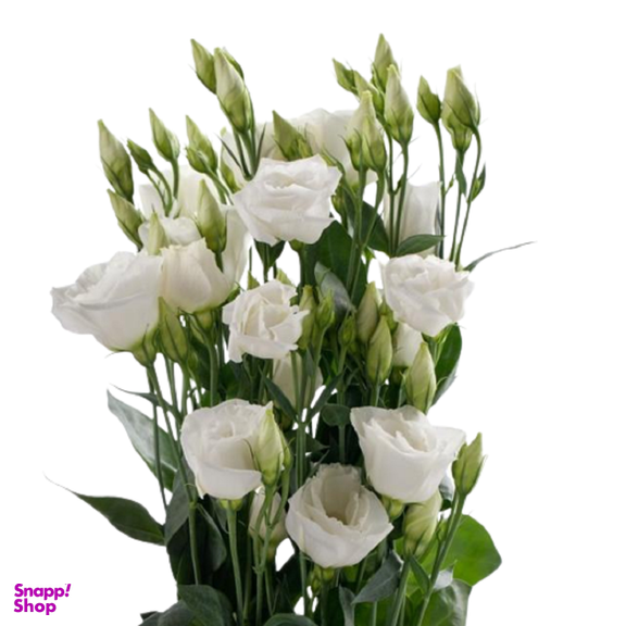 دسته گل لیسیانتوس سفید