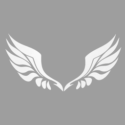 برچسب بدنه خودرو طرح بال کد SB109