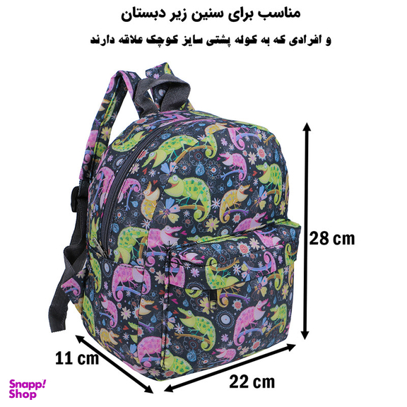 کوله پشتی بچگانه توریث مدل AA-9545