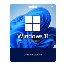 لایسنس اورجینال ویندوز 11 مایکروسافت مدل پرو ریتیل