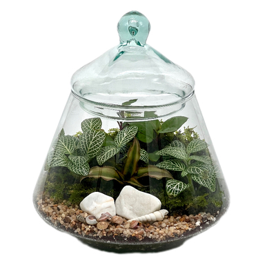 تراریوم مدل هرمی 2 سایز کوچک