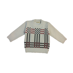 پلیور پسرانه مدل Bri