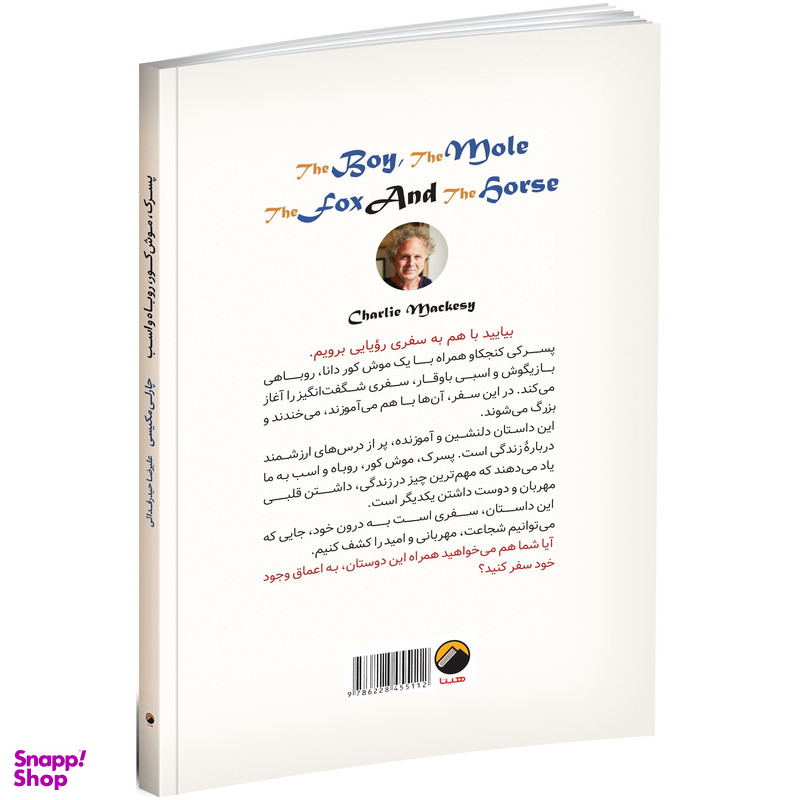 کتاب پسرک، موش کور، روباه و اسب اثر چارلی مکیسی ترجمه علیرضا حیدر فدائی انتشارات هیتا چاپ اول