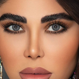 لنز فصلی بیوتی شماره 205 رنگ طوسی دور مشکی