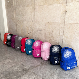 کوله پشتی فوروارد کد 5024 PINKY
