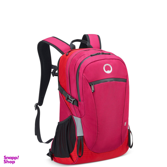 کوله پشتی ورزشی دلسی مدل NOMADE کد 3335611