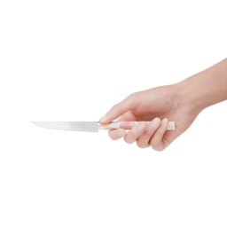 چاقو میوه خوری روک مدل اسپیناس کد 06 بسته 12 عددی