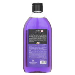 شامپو انجیر سیاه نیوتیس مدل Daily Hydrate حجم 400 میلی لیتر