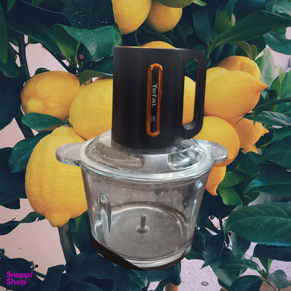 خردکن تفال مدل دو کاسه ای