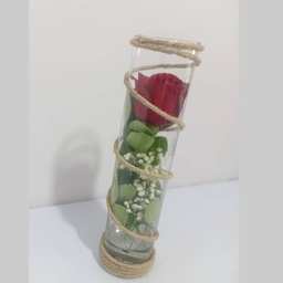 گل رز طبیعی کد 04