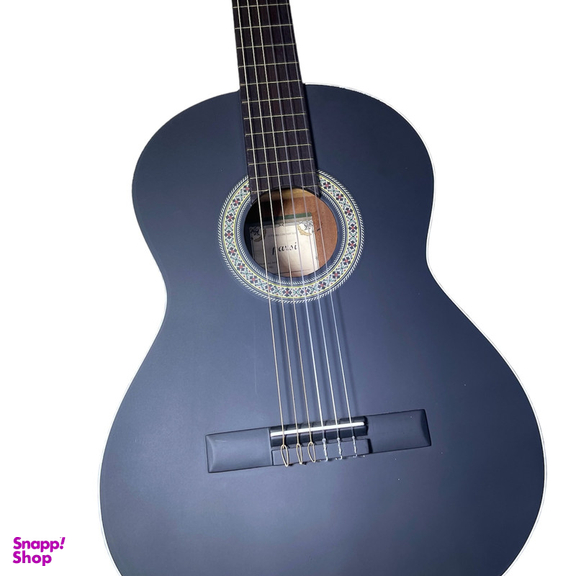 گیتار کلاسیک پارسی مدل M4