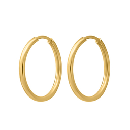 گوشواره طلا 18 عیار زنانه اقلیمه كد ET700.0.56