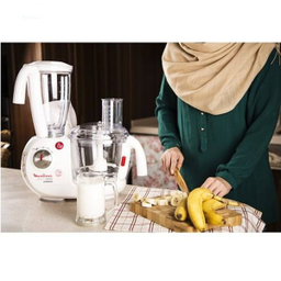 غذاساز مولینکس مدل FP7331BM