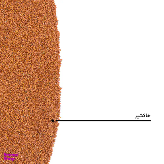 خاکشیر بارجیل