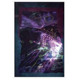 کتاب تک بودگی جاندار اثر میشل بن سایق  نشر نگاه معاصر