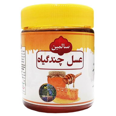 عسل چند گیاه سالمین وزن 500 گرم