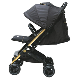 کالسکه دلیجان مدل مینی پرو بدنه نقره ای