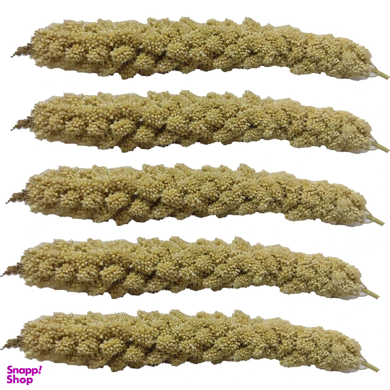 غذا تشویقی پرنده مدل ارزن خوشه ای مناسب طوطی بسته 5 عددی