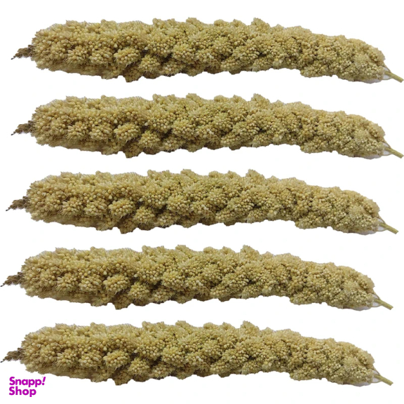 غذا تشویقی پرنده مدل ارزن خوشه ای مناسب طوطی بسته 5 عددی