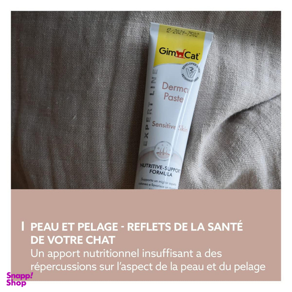 خمیر تشویقی پوست و مو گربه جیم کت مدل Derma Paste وزن 50 گرم