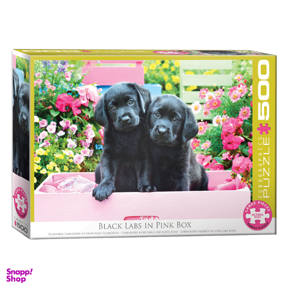 پازل 500 تکه یوروگرافیکس پازلز کد 6500-5462