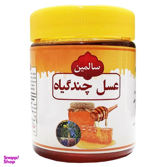 عسل چند گیاه سالمین وزن 500 گرم