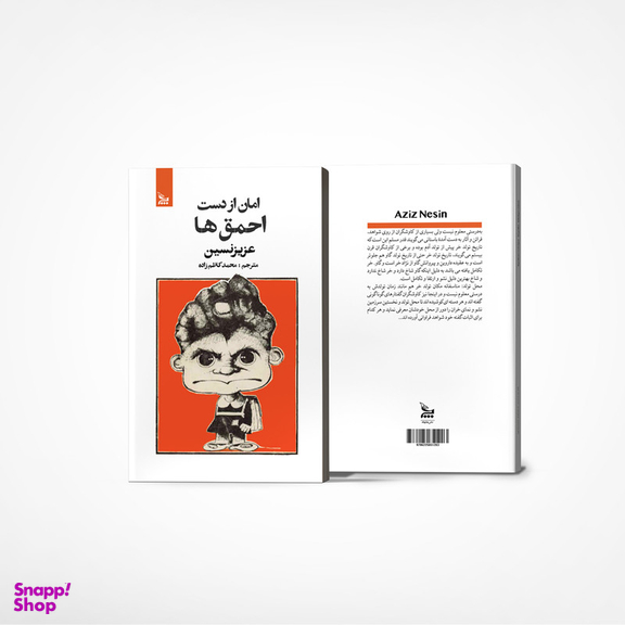 کتاب امان از دست احمق ها اثر عزیز نسین انتشارات چلچله