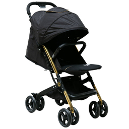 کالسکه دلیجان مدل مینی پرو بدنه نقره ای